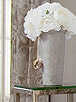 ds11pedestal